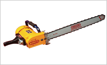 Specifie an alternate text for an image